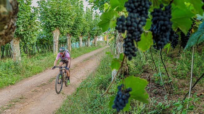 Camboriú recebe a 1ª edição da UCI Gravel World Series Brazil