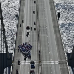 “Somos todos atores nessa luta”