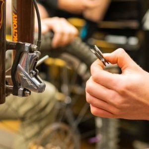 Os novos rumos da Alvoteq