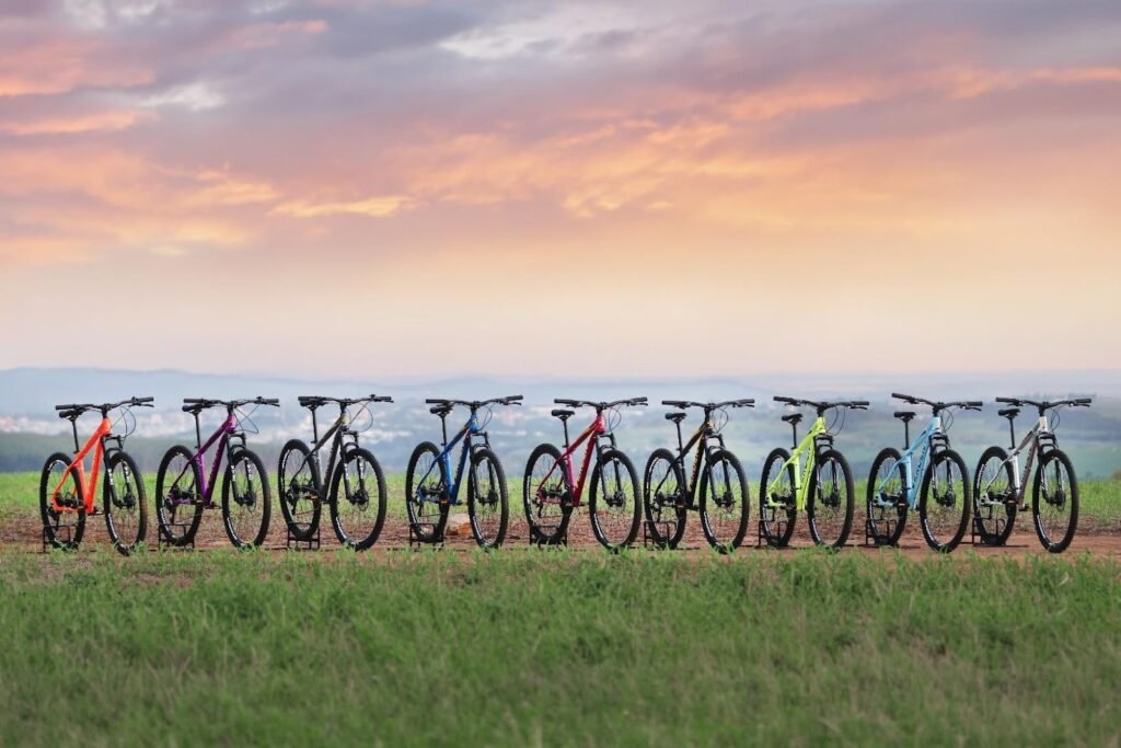 Vortex: a porta de entrada que faz sentido