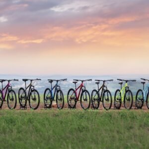 Vortex: a porta de entrada que faz sentido